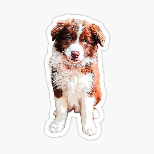 Item preview, Border Collie Cute Chocolate Puppy Dog designed and sold by Elarex.