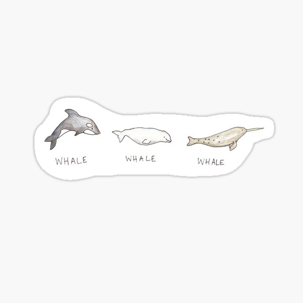 Whale Whale Whale Illustration Sticker