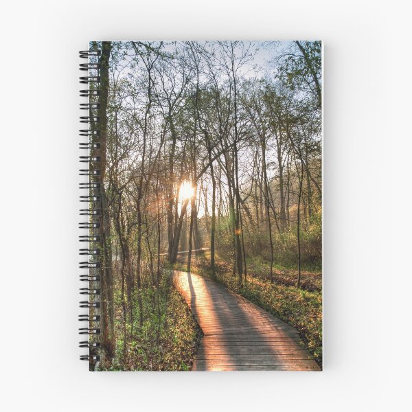 Item preview, The Path to Enlightenment designed and sold by FlashBulbPhoto.