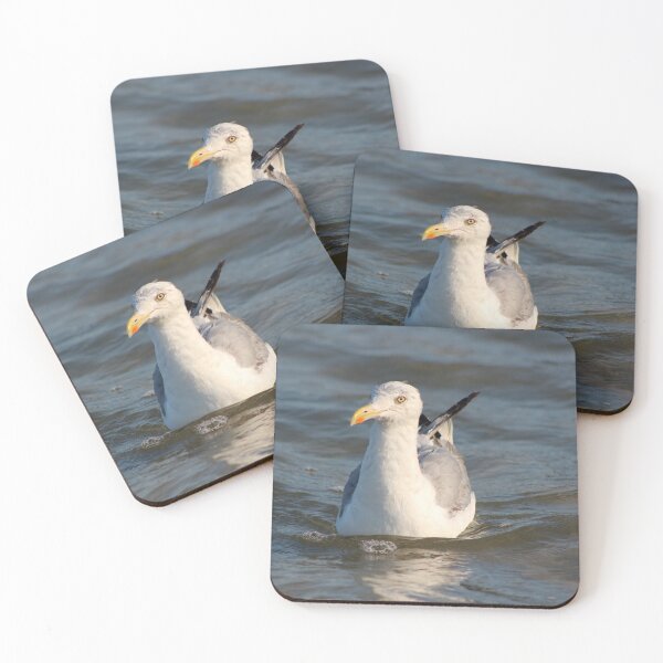 Item preview, Floating Seagull 1 designed and sold by Linda Sannuti.