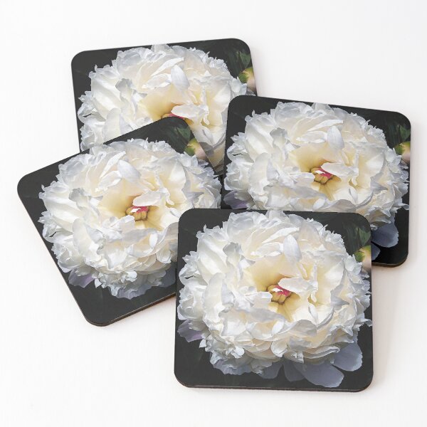 Item preview, White Peony designed and sold by Frankie Cat Photography.