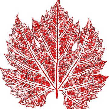 Vine leaf - original leaf print | Essential T-Shirt