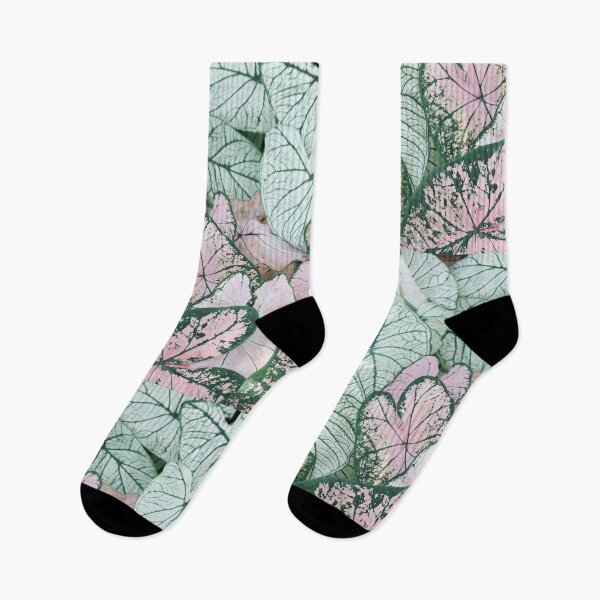 Item preview, Ferns designed and sold by astraeanm.