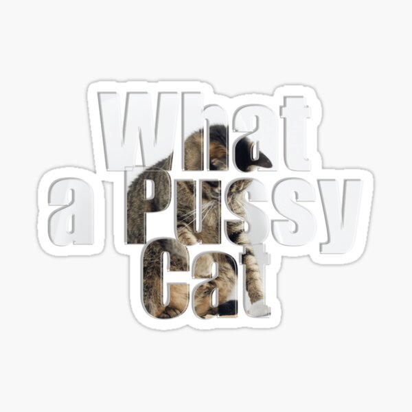 Cat Goddess Porn Pussy Merch Gifts for Sale Redbubble 