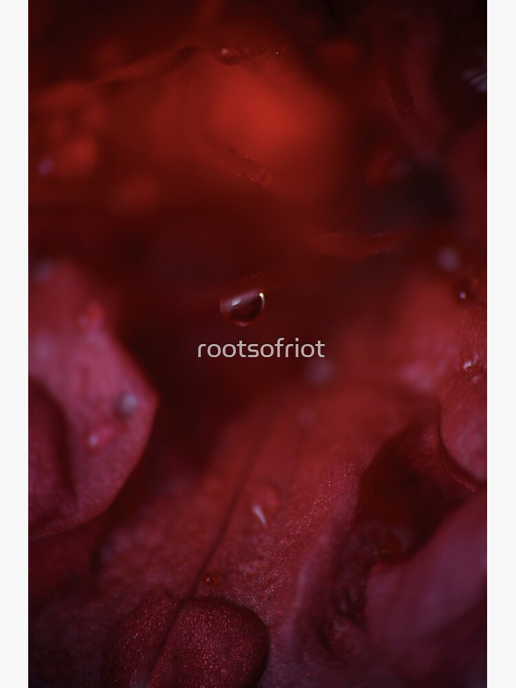 Drop. © PH. Max Facchinetti by rootsofriot