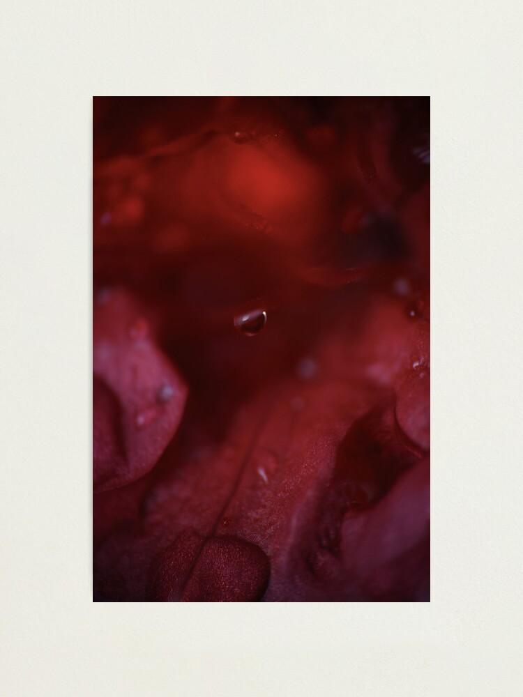 Alternate view of Drop. © PH. Max Facchinetti Photographic Print