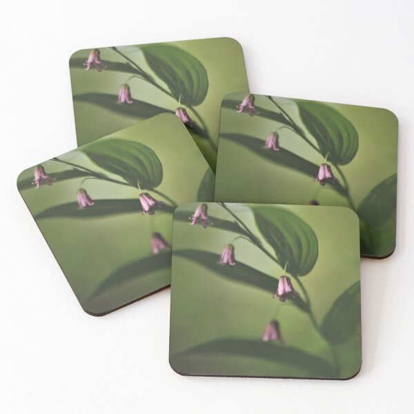 Item preview, Rose Twisted-stalk (Streptopus lanceolatus) designed and sold by Kathleen Daley.