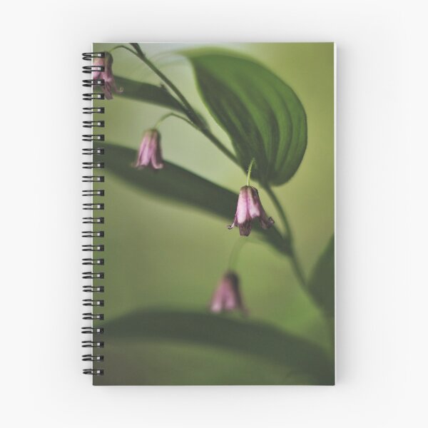 Item preview, Rose Twisted-stalk (Streptopus lanceolatus) designed and sold by Kathleen Daley.