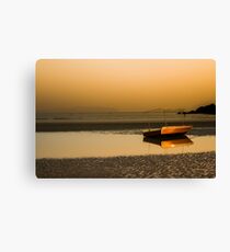 Lonely! Canvas Print