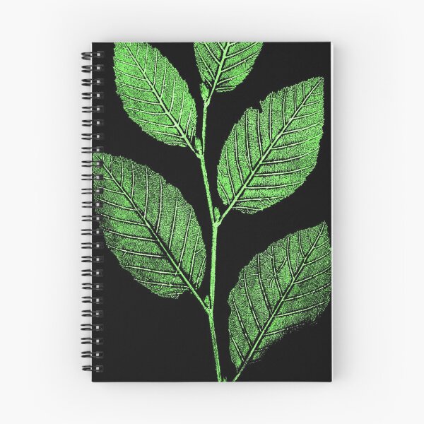 Item preview, Leaf branch / beech leaf print / artist print designed and sold by alohaloho.