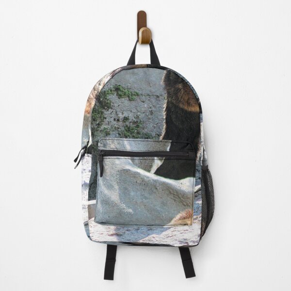 Item preview, GRIZZLY BEAR designed and sold by BOLLA67.