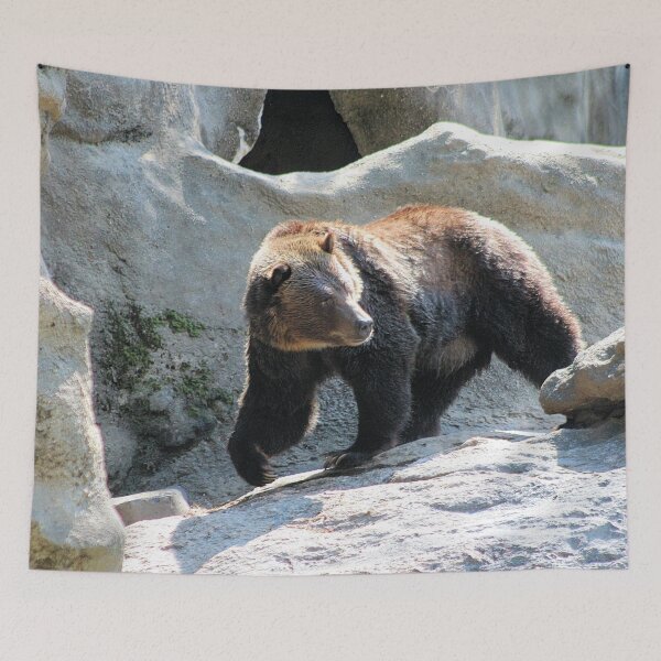 Item preview, GRIZZLY BEAR designed and sold by BOLLA67.