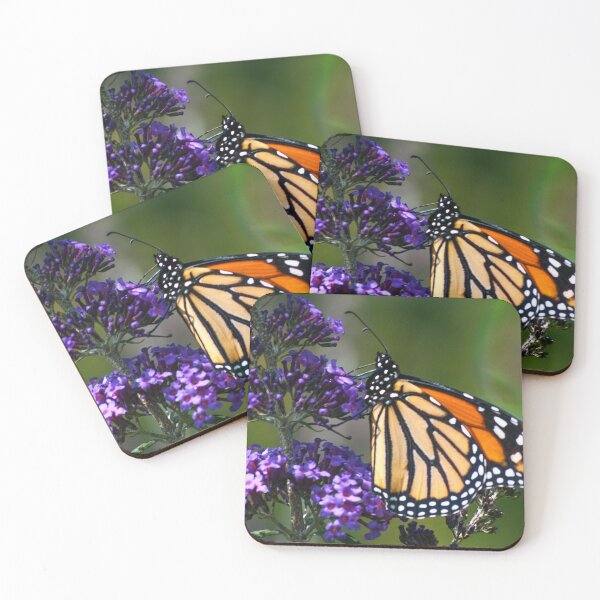 Item preview, Monarch Feast designed and sold by FlashBulbPhoto.
