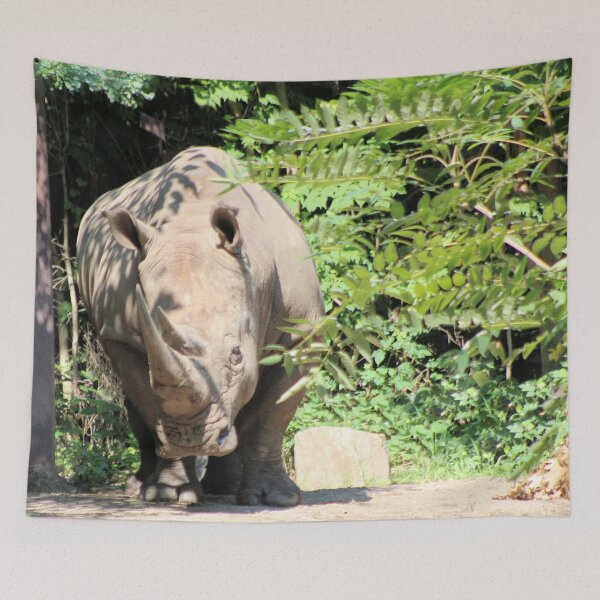Item preview, WHITE RHINO designed and sold by BOLLA67.