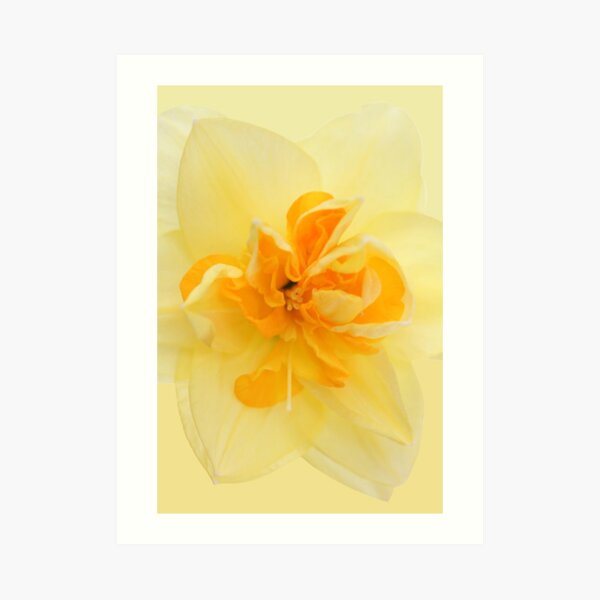 Double Daf Art Print