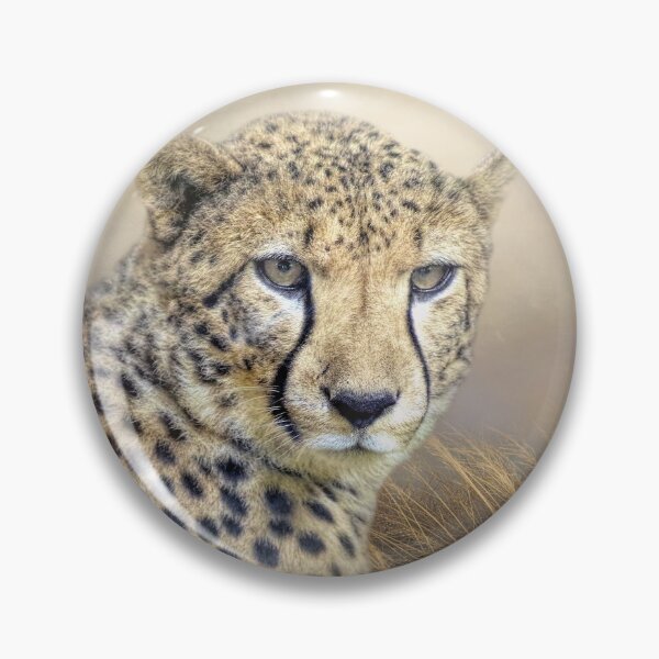 Item preview, Cheetah designed and sold by Elisabeth Lucas.