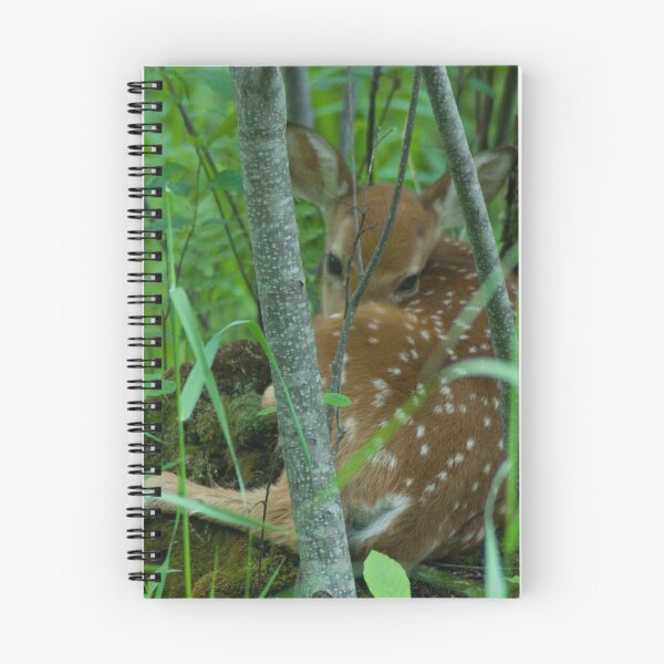 Item preview, Newborn Fawn designed and sold by FlashBulbPhoto.