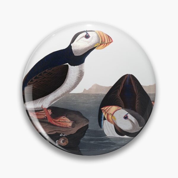 Item preview, Horned Puffin by John James Audubon designed and sold by TheCurators.