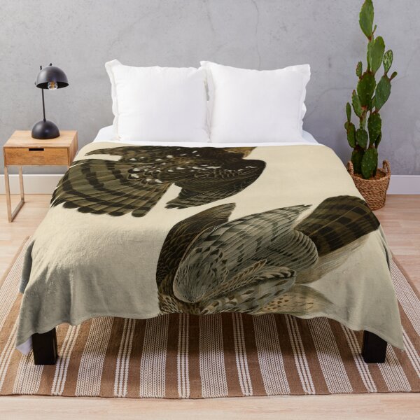 Item preview, 36 Stanley Hawk designed and sold by Bird-Lore.