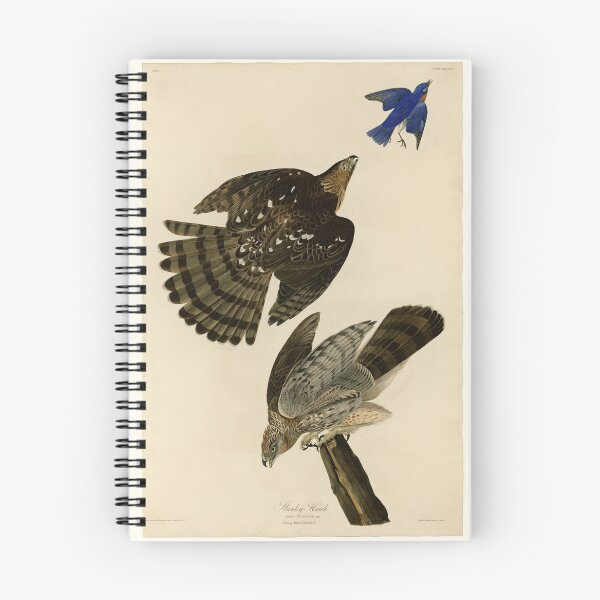 Item preview, 36 Stanley Hawk designed and sold by Bird-Lore.