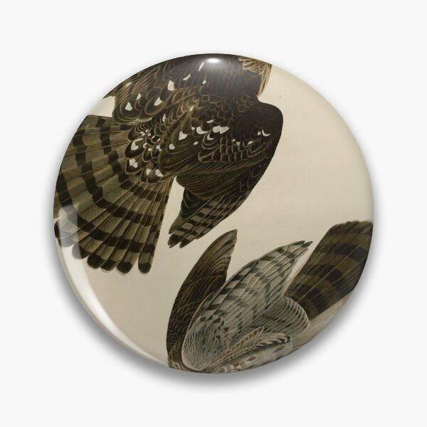 Item preview, 36 Stanley Hawk designed and sold by Bird-Lore.