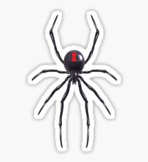 Black Widow Spider Sticker