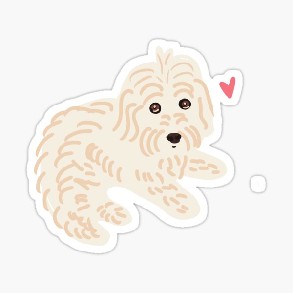 Maltipoo Merch Gifts for Sale Redbubble