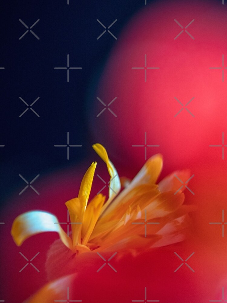 Flower Mystical by WendyLeyten