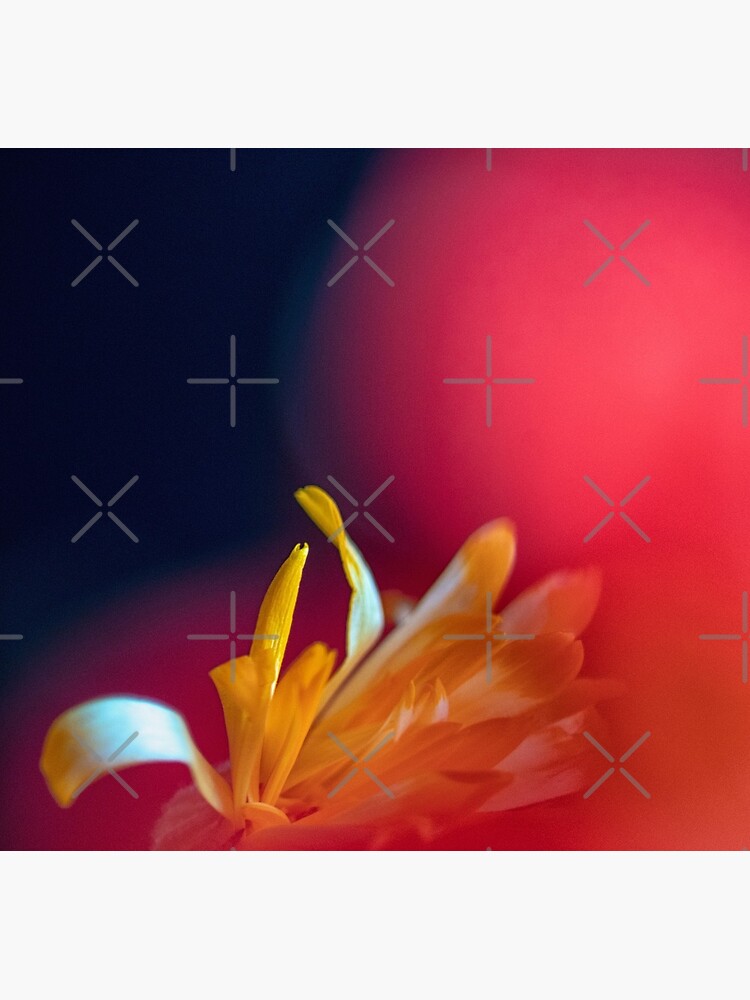 Flower Mystical by WendyLeyten