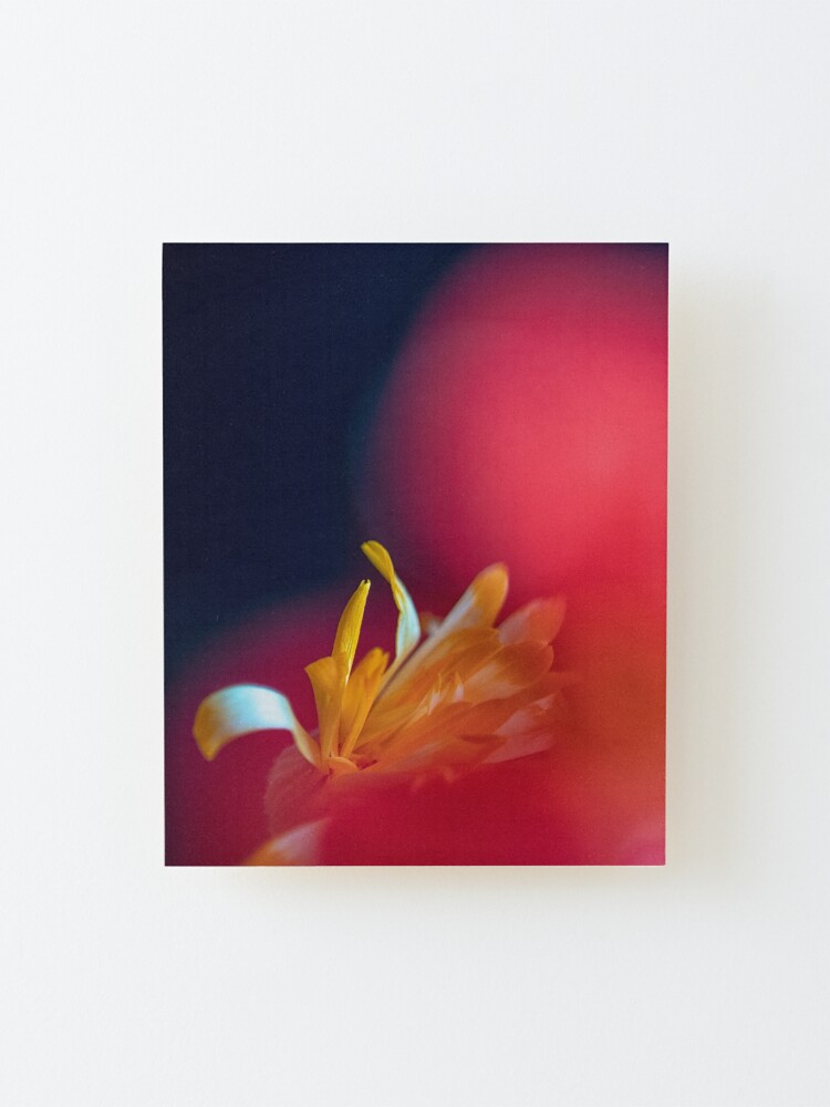 Alternate view of Flower Mystical Mounted Print