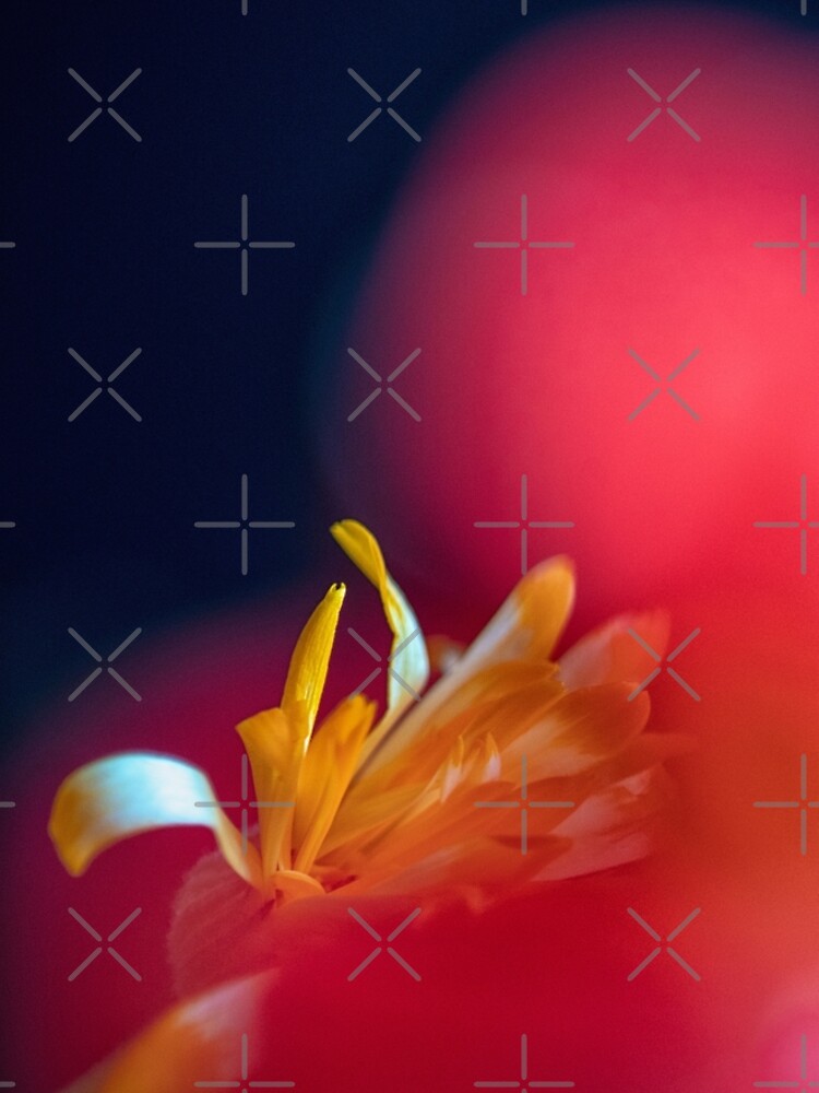 Flower Mystical by WendyLeyten