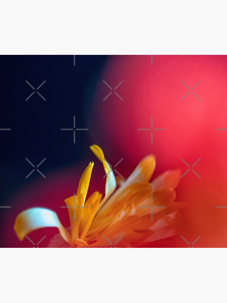 Flower Mystical by WendyLeyten