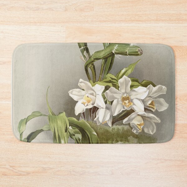Item preview, Reichenbachia: Orchids Illustrated and Described designed and sold by EsotericBotanic.