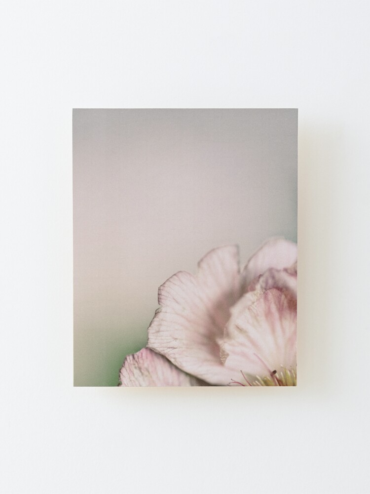 Alternate view of Flower Mystical Mounted Print