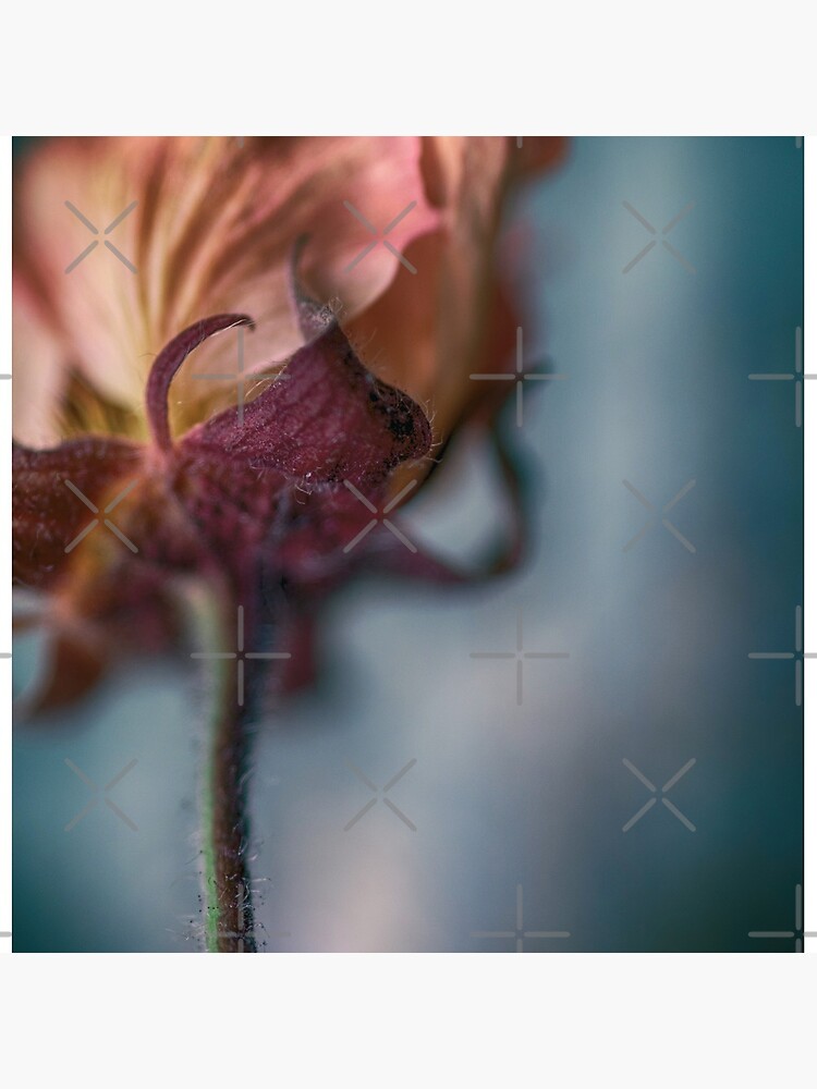 Flower Mystical by WendyLeyten