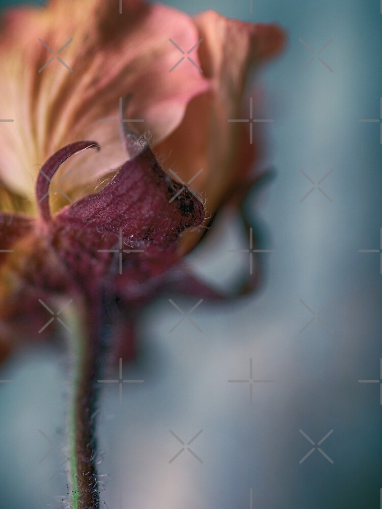 Flower Mystical by WendyLeyten