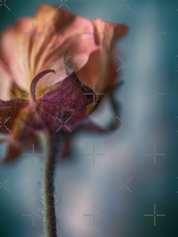 Flower Mystical by WendyLeyten