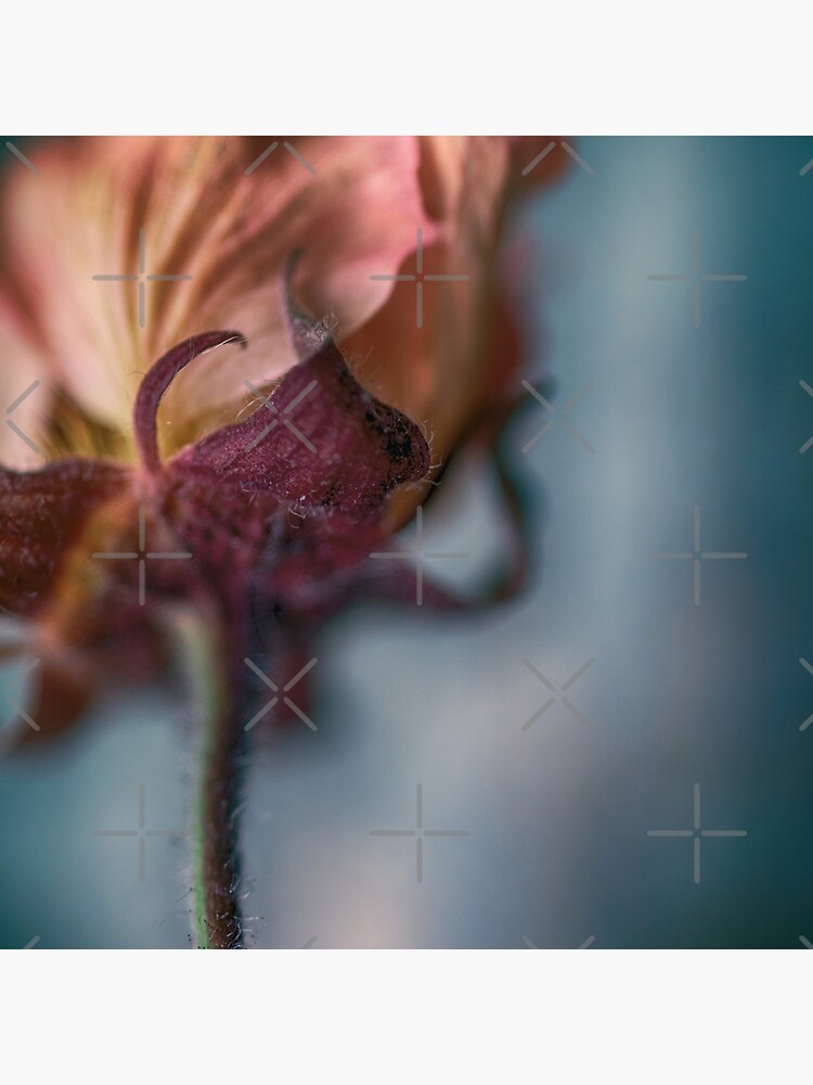 Flower Mystical by WendyLeyten