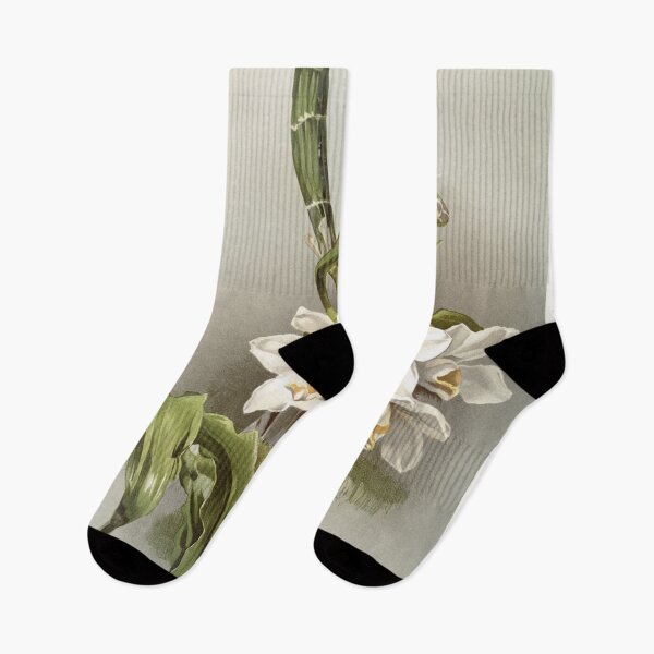 Item preview, Reichenbachia: Orchids Illustrated and Described designed and sold by EsotericBotanic.