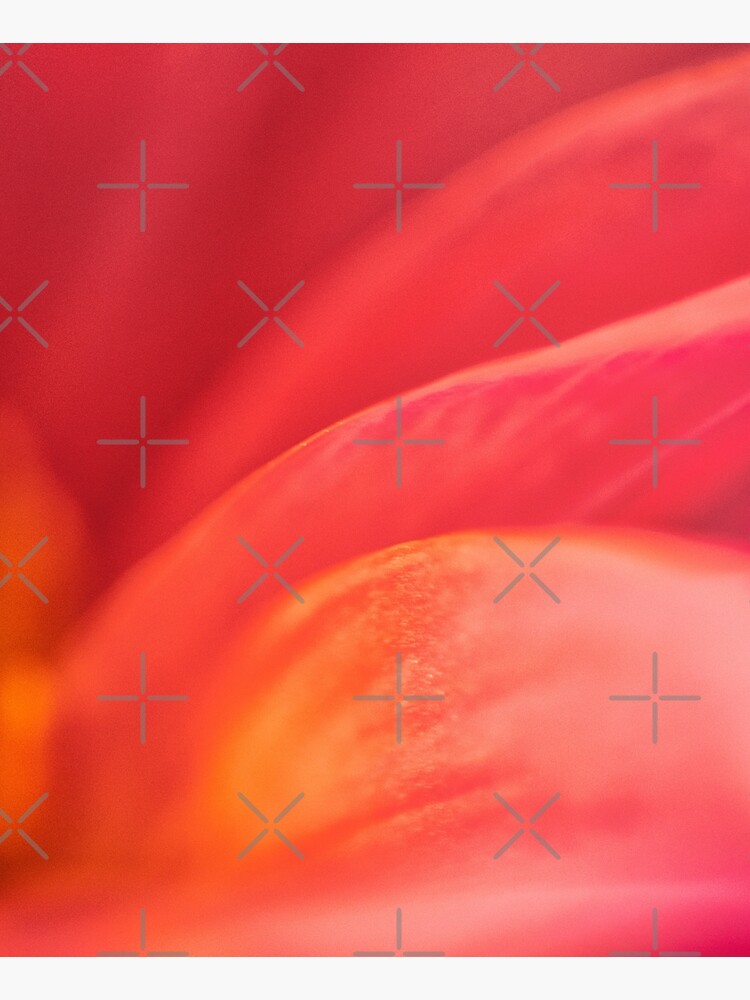 Flower Mystical by WendyLeyten