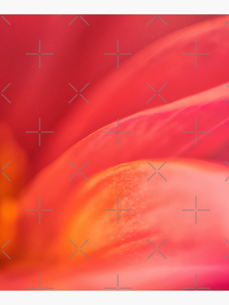 Flower Mystical by WendyLeyten