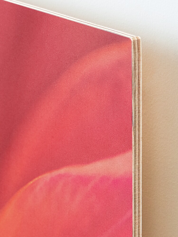 Alternate view of Flower Mystical Mounted Print
