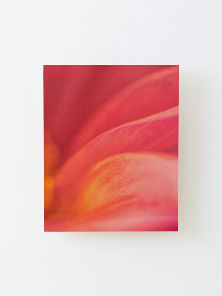 Alternate view of Flower Mystical Mounted Print