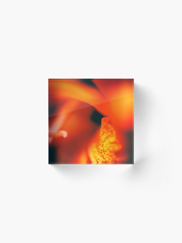 Alternate view of Flower Mystical Acrylic Block