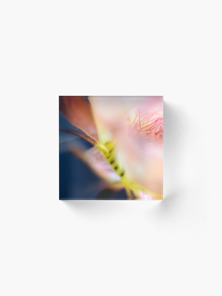 Alternate view of Flower Mystical Acrylic Block