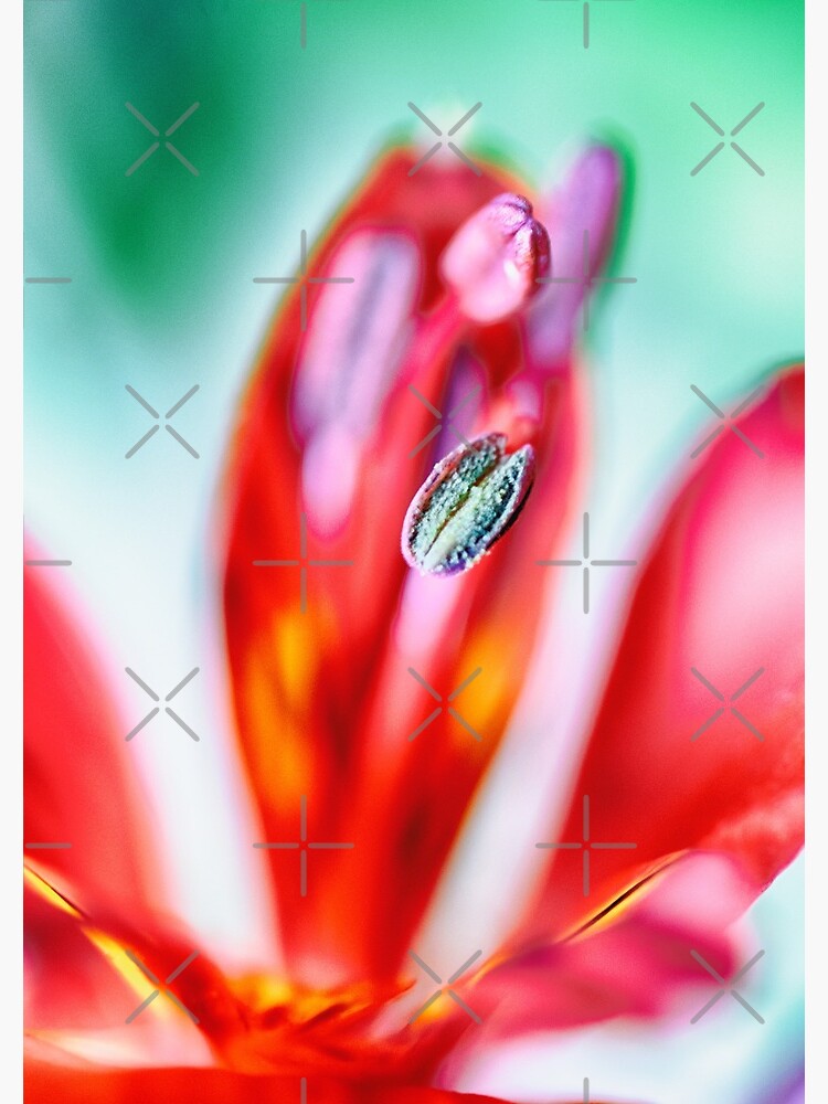 Flower Mystical by WendyLeyten