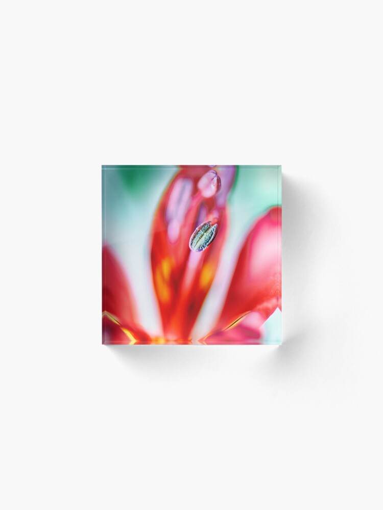 Alternate view of Flower Mystical Acrylic Block