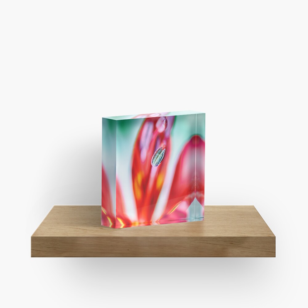 Flower Mystical Acrylic Block