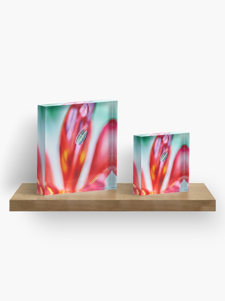 Alternate view of Flower Mystical Acrylic Block