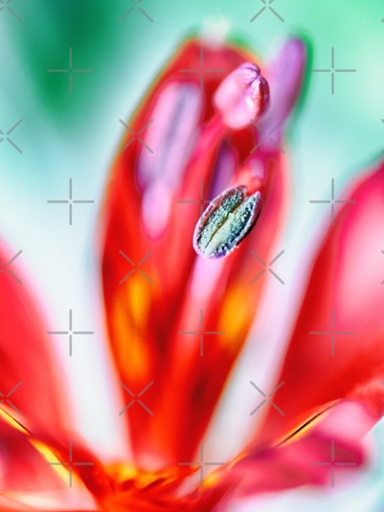 Flower Mystical by WendyLeyten